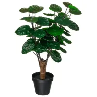 Искусственное растение Ikea Fejka Зеленый / Высота (см) - 50