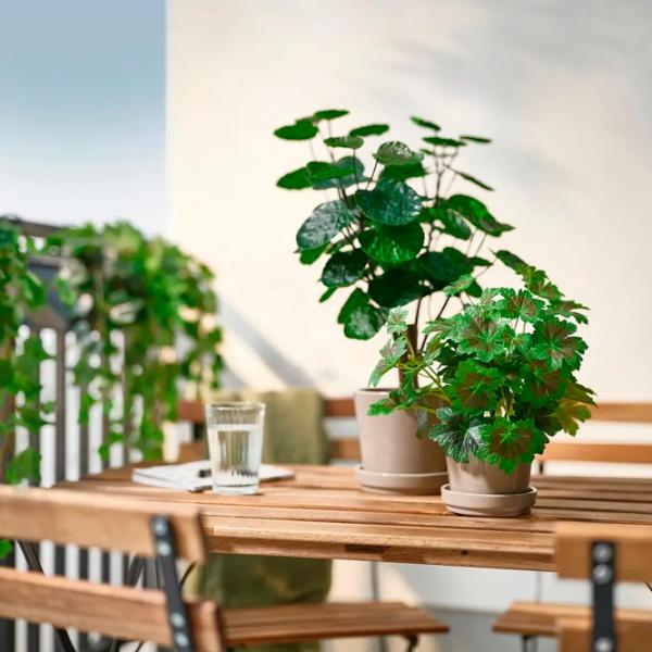 Искусственное растение Ikea Fejka Зеленый / Высота (см) - 50 photo 4 Искусственное растение Ikea Fejka Зеленый / Высота (см) - 50 photo 4