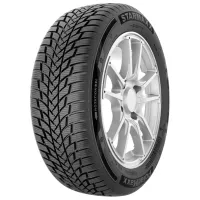 Шины Starmaxx Polarmaxx 2 205/65 R16 95H Зимние / Легковой