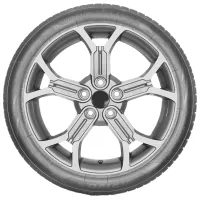 Шины Arivo Winmaster ProX ARW5 265/55 R19 113T XL Зимние / Внедорожник photo 3