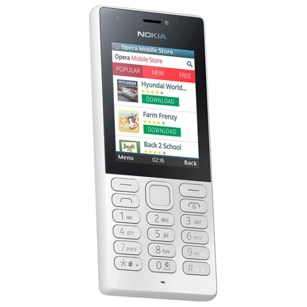 Nokia 216 Gray / Dual SIM photo 1