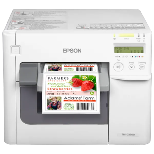 Принтер Epson C3500 ColorWorks Струйный / Цветная / Белый photo 1