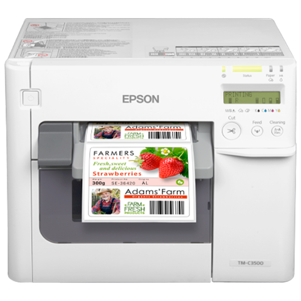 Принтер Epson C3500 ColorWorks Струйный / Цветная / Белый photo 1
