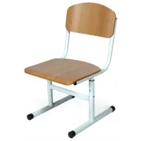 Scaun pentru copii Tisam 90109HPL   / Grey