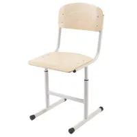 Scaun pentru copii Tisam 32182HPL   / Grey