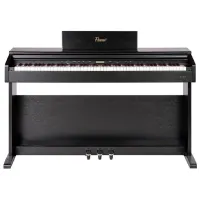 Pian electric Flame B97-BK Acustic / 88 clape / Split / Black