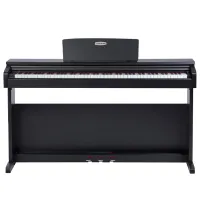 Цифровой пиан Pearl River V03 Акустический / 88 клавиш / Split / Черный