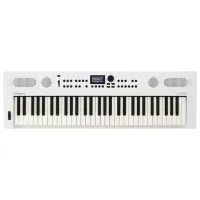 Sintetizator digital Roland GoKeys 5-GT 61 clape / 128 voci / Plastic / White