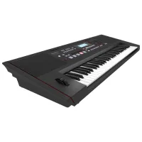 Цифровой синтезатор Roland E-X50 EXP 61 клавиш / 256 голоса / Пластик / Черный photo 5