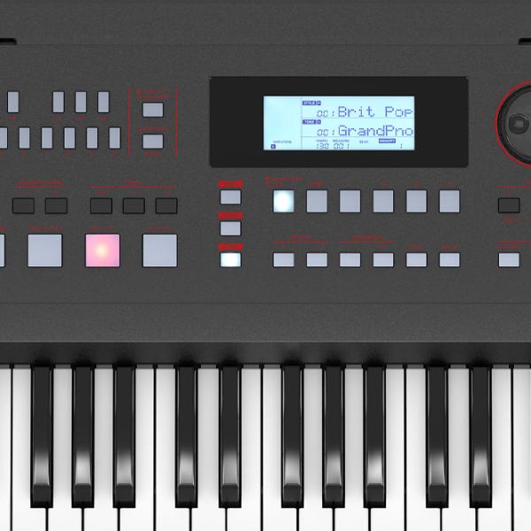 Sintetizator digital Roland E-X50 EXP 61 clape / 256 voci / Plastic / Black photo 8