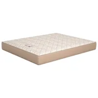Saltea ortopedică ML-Mobila Plus 140 x 200 cm Înălțimea saltelei: 20 cm