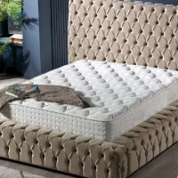 Ортопедический матрас Dizayno Home UD-Regnum 160 x 200 см Высота матраса: 25 см