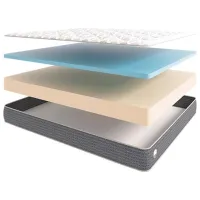 Ортопедический матрас Alfabed Terra Medium 200 x 80 см Высота матраса: 