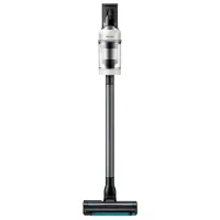 Aspirator vertical Samsung VS80F28DGS/UK 770 W / Black Beige photo 6