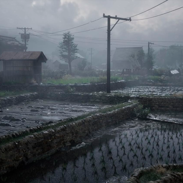 Silent Hill f Game for PlayStation 5 photo 3