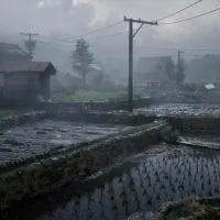 Silent Hill f Game for PlayStation 5 photo 3