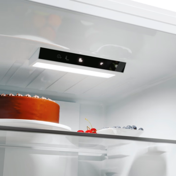 Frigider Candy ECN2CQTEW206 cu congelator jos 409 l / 205 cm / White photo 11