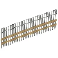 Гвозди Hikoki 4100442 Серебряный / 2000 баксов.