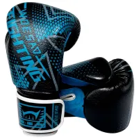 Mănuși de lupte Woesa WSDH86 Box / Adult / 10 oz / Blue