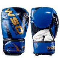 Mănuși de lupte Woesa WSDX18 Box / Copii / 14 oz / Blue