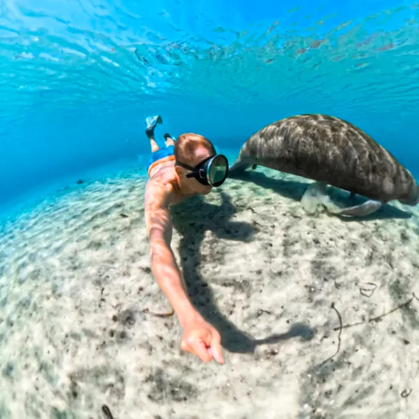Husă Insta360 X5 Invisible Dive Case Transparent photo 6