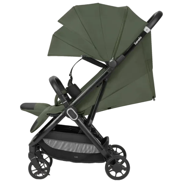 Детская коляска Lionelo Bess N.226505/ Зеленый photo 4 Детская коляска Lionelo Bess N.226505/ Зеленый photo 4
