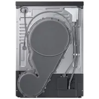 Mașină de uscat rufe Samsung DV90DG6845LBU4 9 kg/ Black photo 4