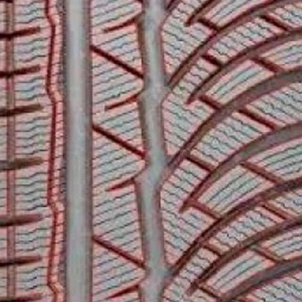 Anvelope Michelin BMW-AUSFЬHRUNG 245/50 R18 100H Iarnă / Autoturism photo 3