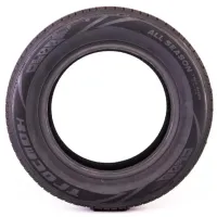 Anvelope TracMax X-privilo A/S Trac Saver 215/65 R17 100V XL All-season / Autoturism photo 2