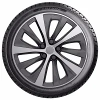 Anvelope Fortune FSR-401 235/55 R19 105W All-season / Autoturism photo 3