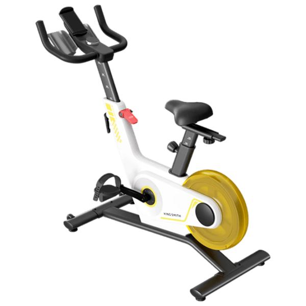 Bicicleta Spinning Kingsmith PB08S / 100 kg / Yellow photo 1
