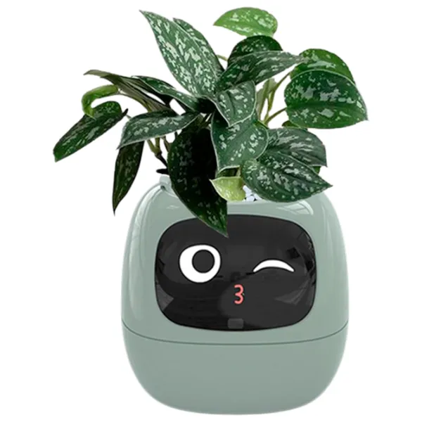 Ghiveci pentru flori Cute Pet Indoor Ivy Smart Green / Plastic / Pe pervaz photo 1
