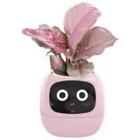 Горшок для цветов Cute Pet Indoor Ivy Smart Розовый / Пластик / На подоконник