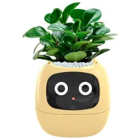 Горшок для цветов Cute Pet Indoor Ivy Smart Желтый / Пластик / На подоконник