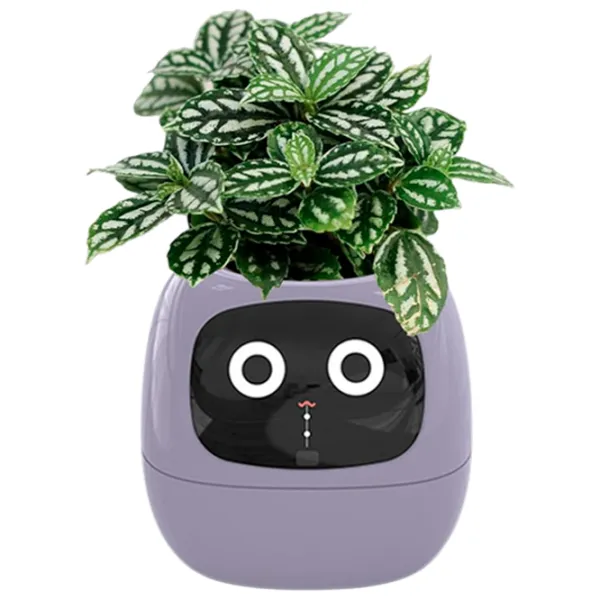 Ghiveci pentru flori Cute Pet Indoor Ivy Smart Purple / Plastic / Pe pervaz photo 1