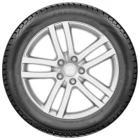 Anvelope Fortune Polaro Snow 225/60 R18 104H Iarnă / Autoturism photo 2