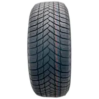 Шины OTANI WE1000 185/65 R14 86T Зимние / Легковой photo 2