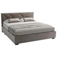 Pat My-Style my-Nova 200 x 200 cm / Placaj / Dark Gray