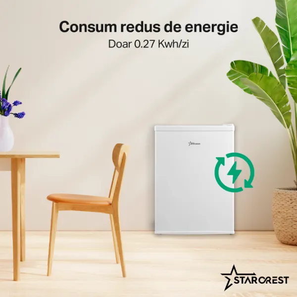 Frigider Starcrest SF-660WHT cu congelator sus 66 l / 63 cm / White photo 4
