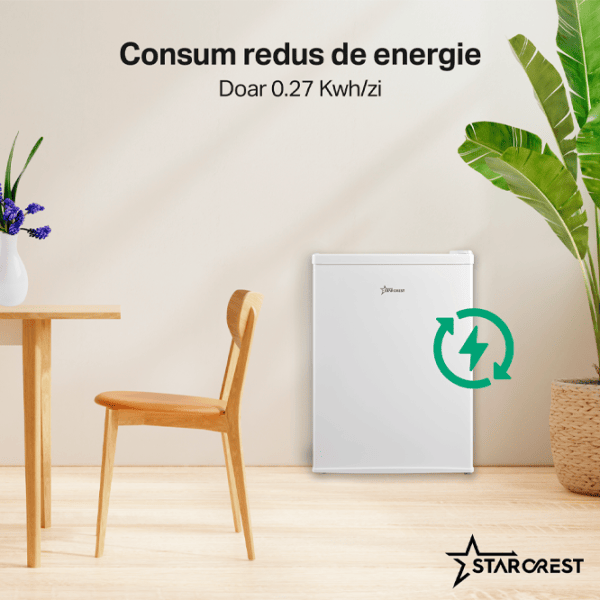 Frigider Starcrest SF-660WHT cu congelator sus 66 l / 63 cm / White photo 4