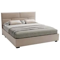 Pat My-Style my-Cora 200 x 200 cm / Placaj / Light Gray