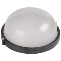 Plafonieră IEK LNPP0-1101-1-100-K02  / Aluminiu