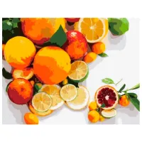 Pictură pe numere Strateg Motiv de fructe VA-2679 50 x 40 cm / Orizontală
