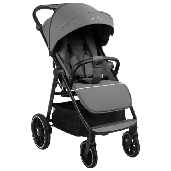 Детская коляска Caretero Jimbo 122590/ Графит photo 1