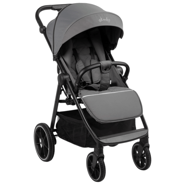 Детская коляска Caretero Jimbo 122590/ Графит photo 1