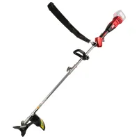 Триммер Raider RDP-GXBC20  / Красный