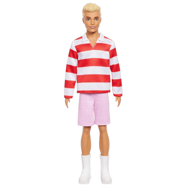 Păpușă Barbie Ken N241 HYV01 model / 3+ photo 1