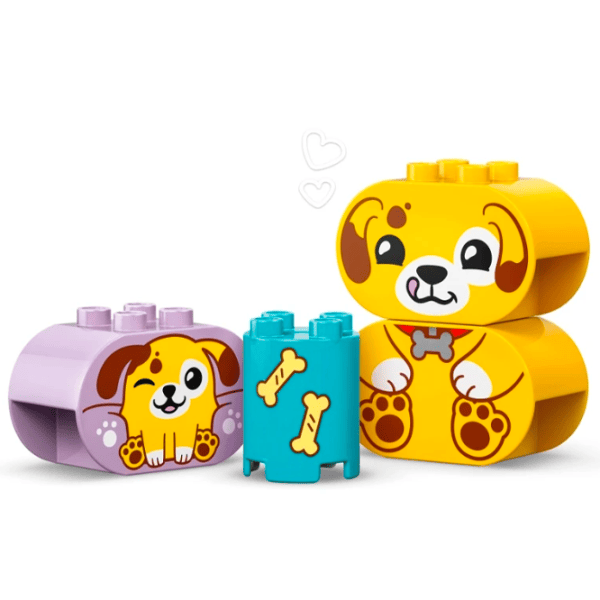 Конструктор LEGO Shape Sorter: Puppy House Классический/ Зеленый photo 3