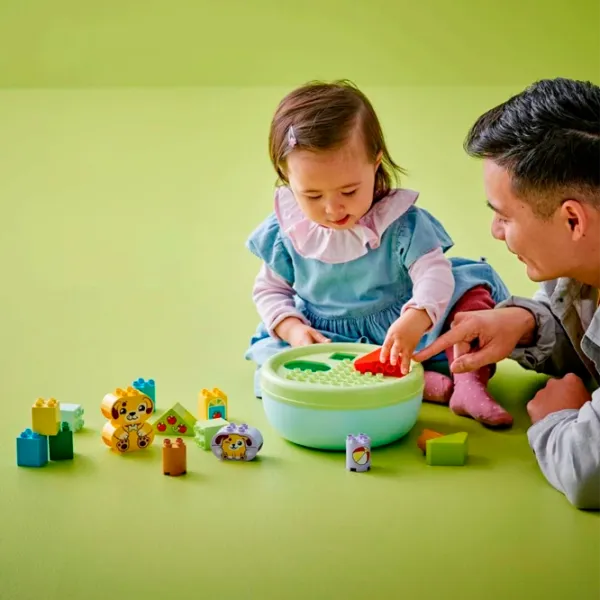 Конструктор LEGO Shape Sorter: Puppy House Классический/ Зеленый photo 6