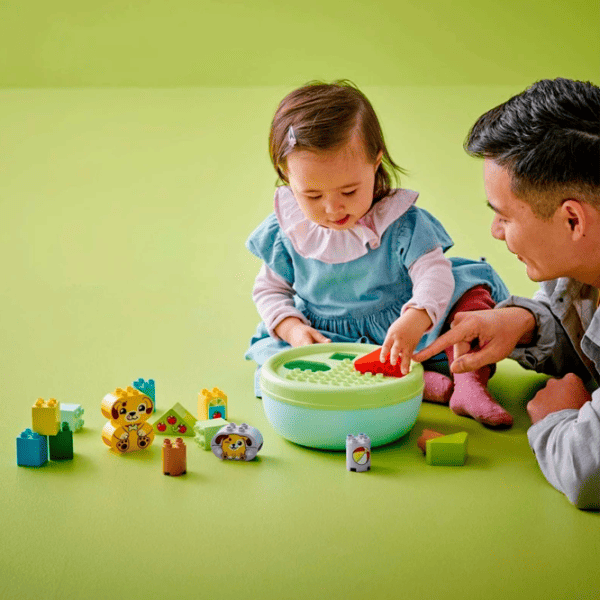 Конструктор LEGO Shape Sorter: Puppy House Классический/ Зеленый photo 6